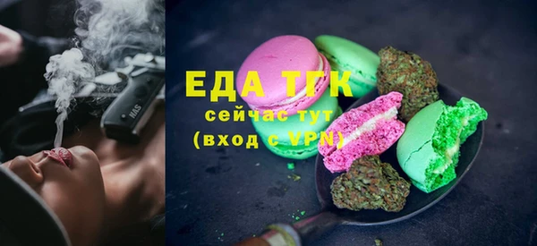 индика Медногорск