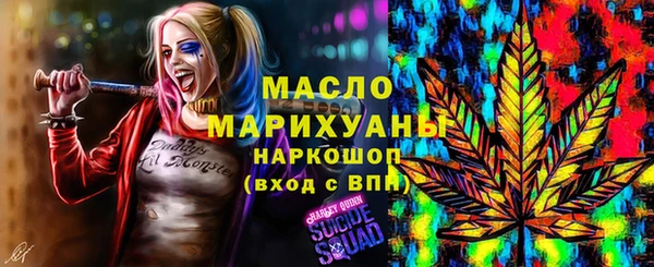 индика Медногорск