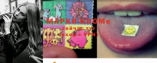 индика Медногорск