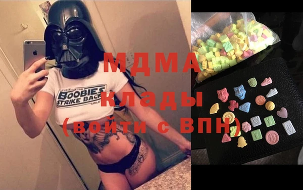 индика Медногорск