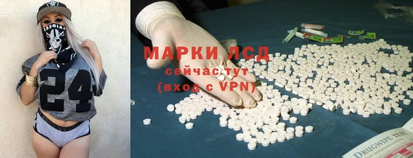 индика Медногорск