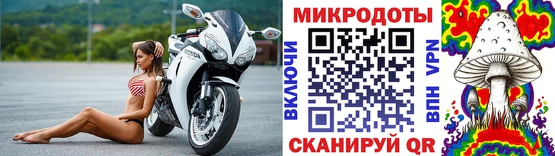 цена   Орлов  Галлюциногенные грибы GOLDEN TEACHER 